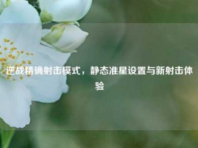 逆战精确射击模式，静态准星设置与新射击体验