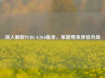深入解析PUBG 0.20.0版本，革新带来体验升级