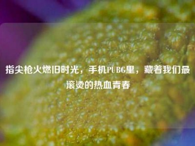 指尖枪火燃旧时光，手机PUBG里，藏着我们最滚烫的热血青春