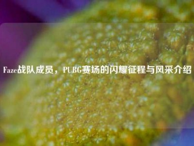 Faze战队成员，PUBG赛场的闪耀征程与风采介绍