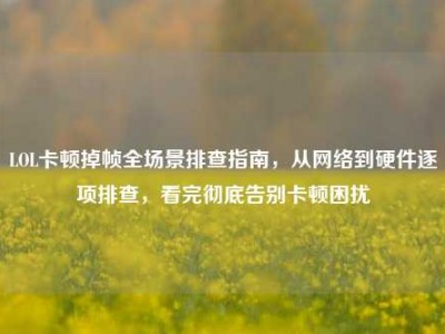 LOL卡顿掉帧全场景排查指南，从网络到硬件逐项排查，看完彻底告别卡顿困扰