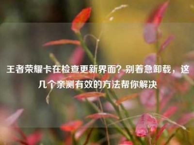 王者荣耀卡在检查更新界面？别着急卸载，这几个亲测有效的方法帮你解决