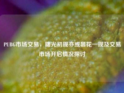 PUBG市场交易，曙光初现亦或昙花一现及交易市场开启情况探讨