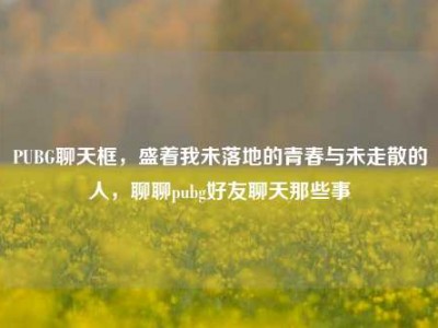 PUBG聊天框，盛着我未落地的青春与未走散的人，聊聊pubg好友聊天那些事