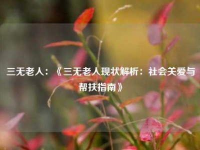 三无老人：《三无老人现状解析：社会关爱与帮扶指南》