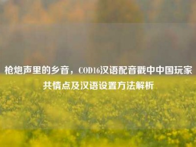 枪炮声里的乡音，COD16汉语配音戳中中国玩家共情点及汉语设置方法解析