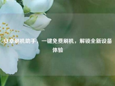 安卓刷机助手，一键免费刷机，解锁全新设备体验