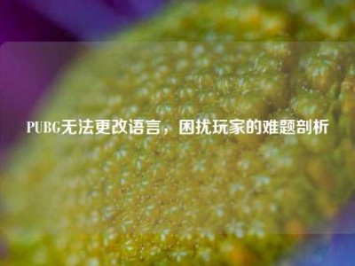 PUBG无法更改语言，困扰玩家的难题剖析
