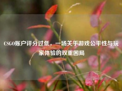 CSGO账户评分过低，一场关乎游戏公平性与玩家体验的双重困局