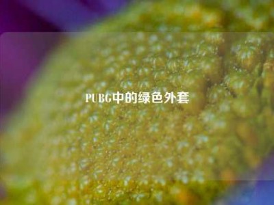 PUBG中的绿色外套