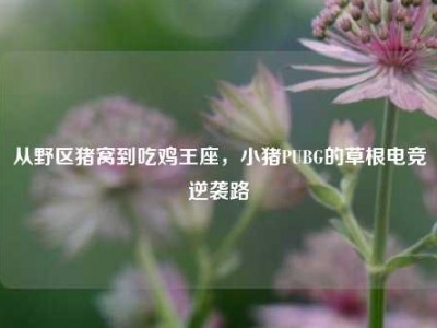 从野区猪窝到吃鸡王座，小猪PUBG的草根电竞逆袭路