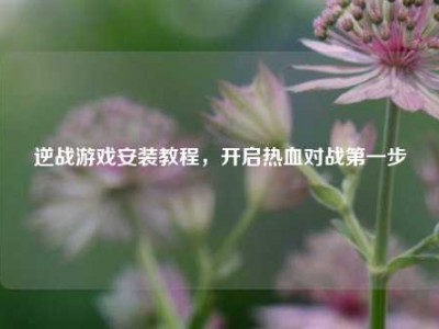 逆战游戏安装教程，开启热血对战第一步