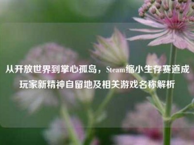 从开放世界到掌心孤岛，Steam缩小生存赛道成玩家新精神自留地及相关游戏名称解析