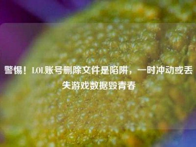 警惕！LOL账号删除文件是陷阱，一时冲动或丢失游戏数据毁青春