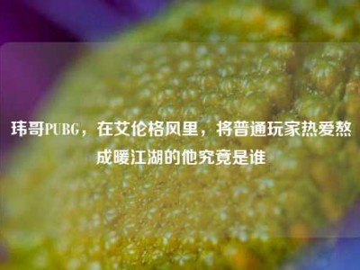 玮哥PUBG，在艾伦格风里，将普通玩家热爱熬成暖江湖的他究竟是谁
