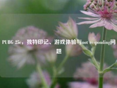 PUBG 25c，独特印记、游戏体验与not responding问题