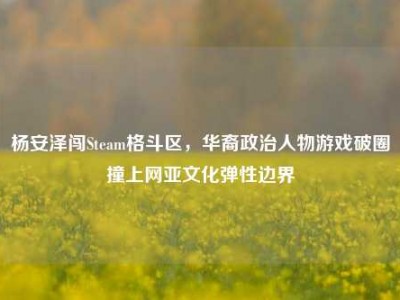 杨安泽闯Steam格斗区，华裔政治人物游戏破圈撞上网亚文化弹性边界
