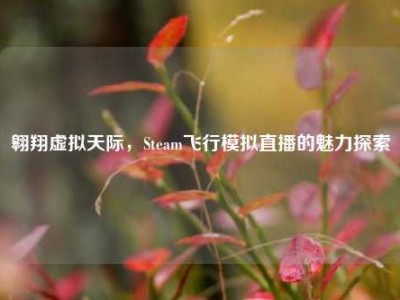 翱翔虚拟天际，Steam飞行模拟直播的魅力探索