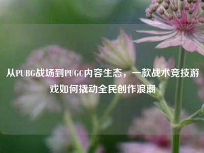 从PUBG战场到PUGC内容生态，一款战术竞技游戏如何撬动全民创作浪潮