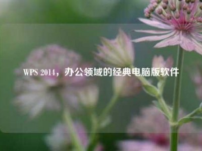 WPS 2014，办公领域的经典电脑版软件