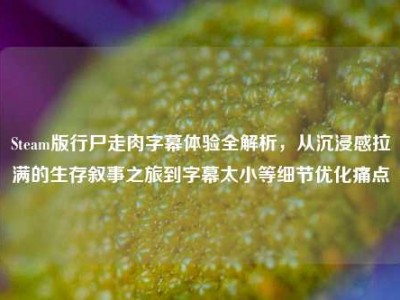 Steam版行尸走肉字幕体验全解析，从沉浸感拉满的生存叙事之旅到字幕太小等细节优化痛点