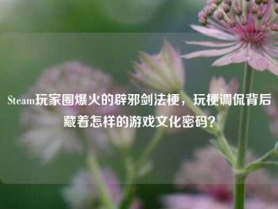 Steam玩家圈爆火的辟邪剑法梗，玩梗调侃背后藏着怎样的游戏文化密码？