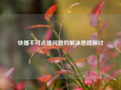 快播不可点播问题的解决思路探讨