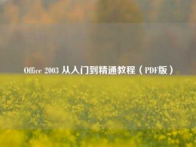 Office 2003 从入门到精通教程（PDF版）