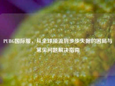 PUBG国际服，从全球顶流到步步失据的困局与常见问题解决指南