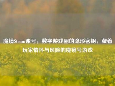 魔镜Steam账号，数字游戏圈的隐形密钥，藏着玩家情怀与风险的魔镜号游戏