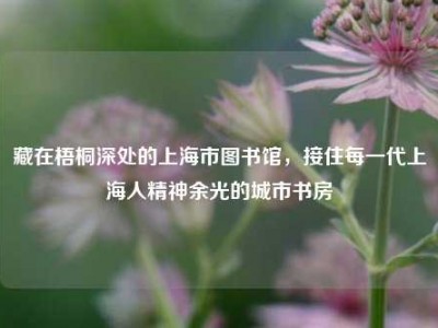 藏在梧桐深处的上海市图书馆，接住每一代上海人精神余光的城市书房