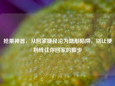 抢票神器，从回家捷径沦为隐形陷阱，别让便利绊住你回家的脚步