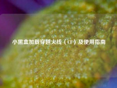 小黑盒加载穿越火线（CF）及使用指南