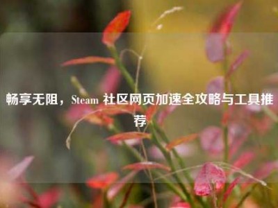 畅享无阻，Steam 社区网页加速全攻略与工具推荐