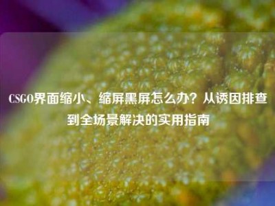 CSGO界面缩小、缩屏黑屏怎么办？从诱因排查到全场景解决的实用指南