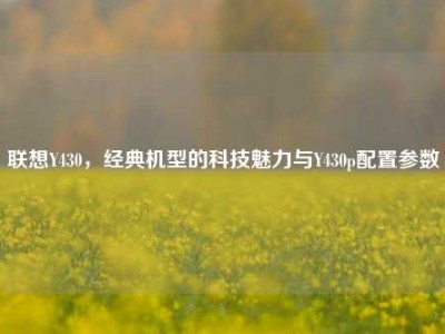 联想Y430，经典机型的科技魅力与Y430p配置参数