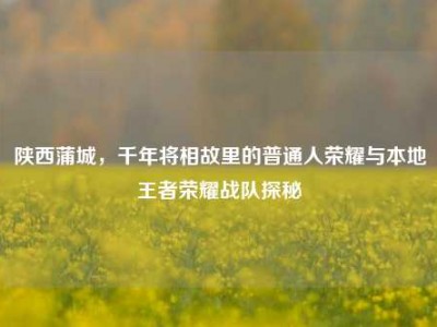陕西蒲城，千年将相故里的普通人荣耀与本地王者荣耀战队探秘