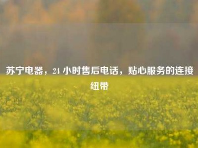 苏宁电器，24 小时售后电话，贴心服务的连接纽带