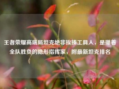 王者荣耀高端局坦克绝非挨揍工具人，是攥着全队胜负的隐形指挥家，附最新坦克排名