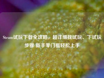 Steam试玩下载全攻略，超详细找试玩、下试玩步骤 新手零门槛轻松上手