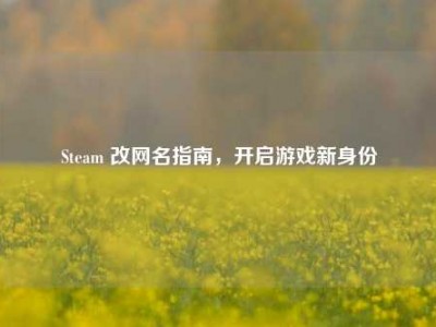Steam 改网名指南，开启游戏新身份