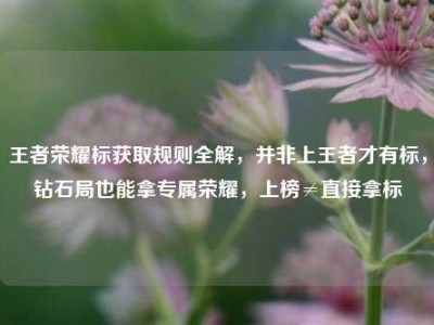 王者荣耀标获取规则全解，并非上王者才有标，钻石局也能拿专属荣耀，上榜≠直接拿标