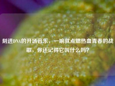 刻进DNA的开场音乐，一响就点燃热血青春的战歌，你还记得它叫什么吗？