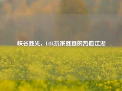 峡谷鑫光，LOL玩家鑫鑫的热血江湖