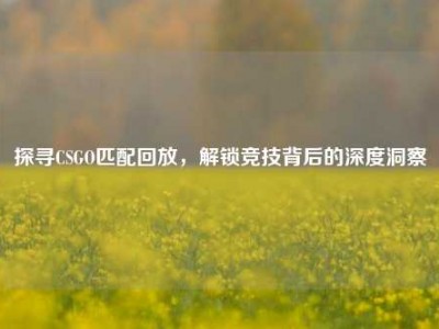 探寻CSGO匹配回放，解锁竞技背后的深度洞察