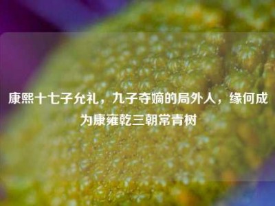康熙十七子允礼，九子夺嫡的局外人，缘何成为康雍乾三朝常青树