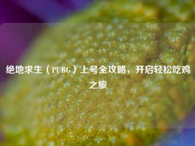 绝地求生（PUBG）上号全攻略，开启轻松吃鸡之旅