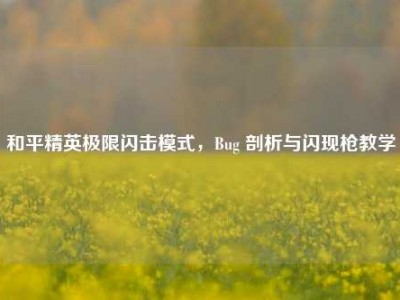 和平精英极限闪击模式，Bug 剖析与闪现枪教学