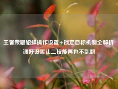 王者荣耀貂蝉操作设置+锁定目标机制全解析 调好设置让二技能再也不乱飘