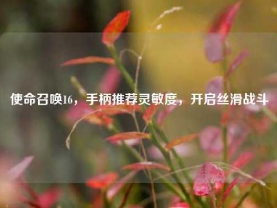 使命召唤16，手柄推荐灵敏度，开启丝滑战斗